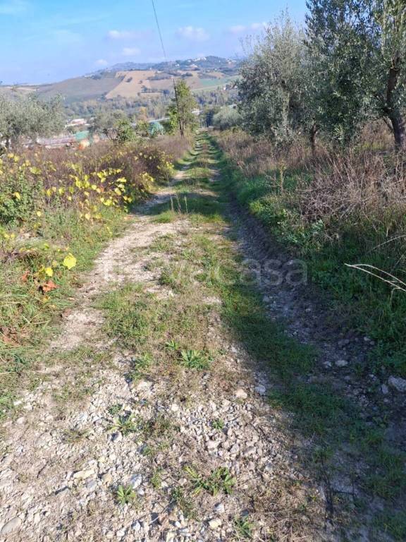 immagine annuncio 13 di 15
