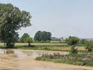 Terreno agricolo all'asta a cava manara frazione aliarolo e gerre ghiozzo, 1