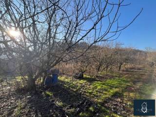 Terreno agricolo in vendita a san sebastiano da po via abate, 22