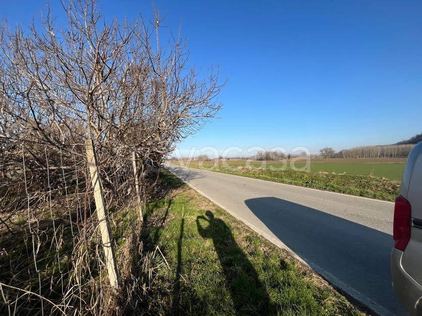 immagine annuncio 5 di 6