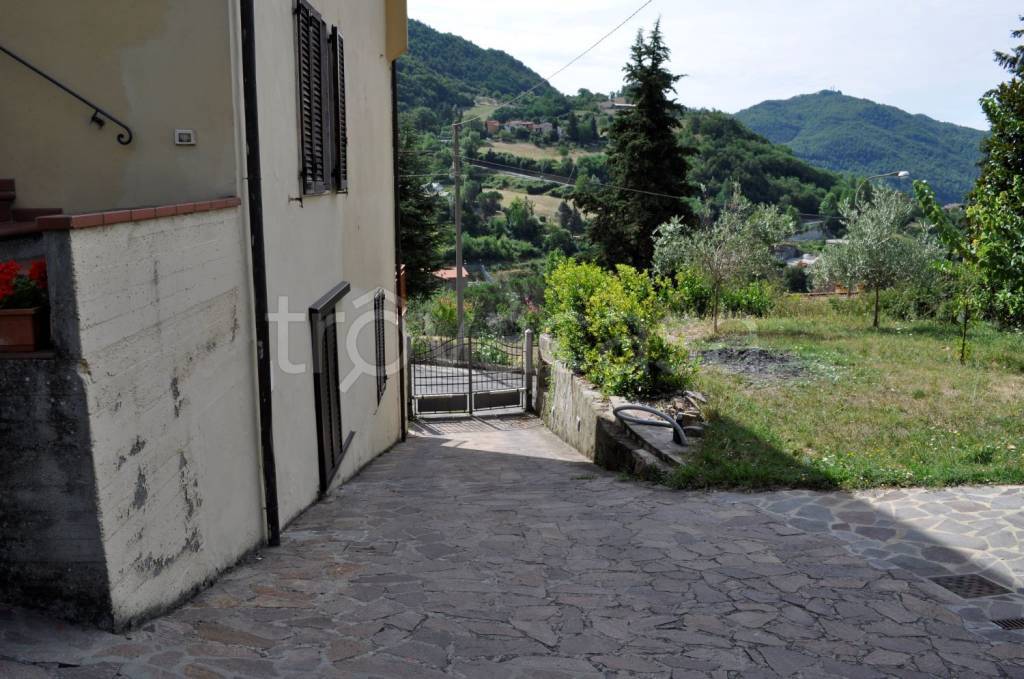 immagine annuncio 2 di 12