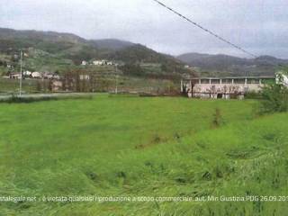 Terreno agricolo all'asta a san giovanni ilarione viale alcide de gasperi