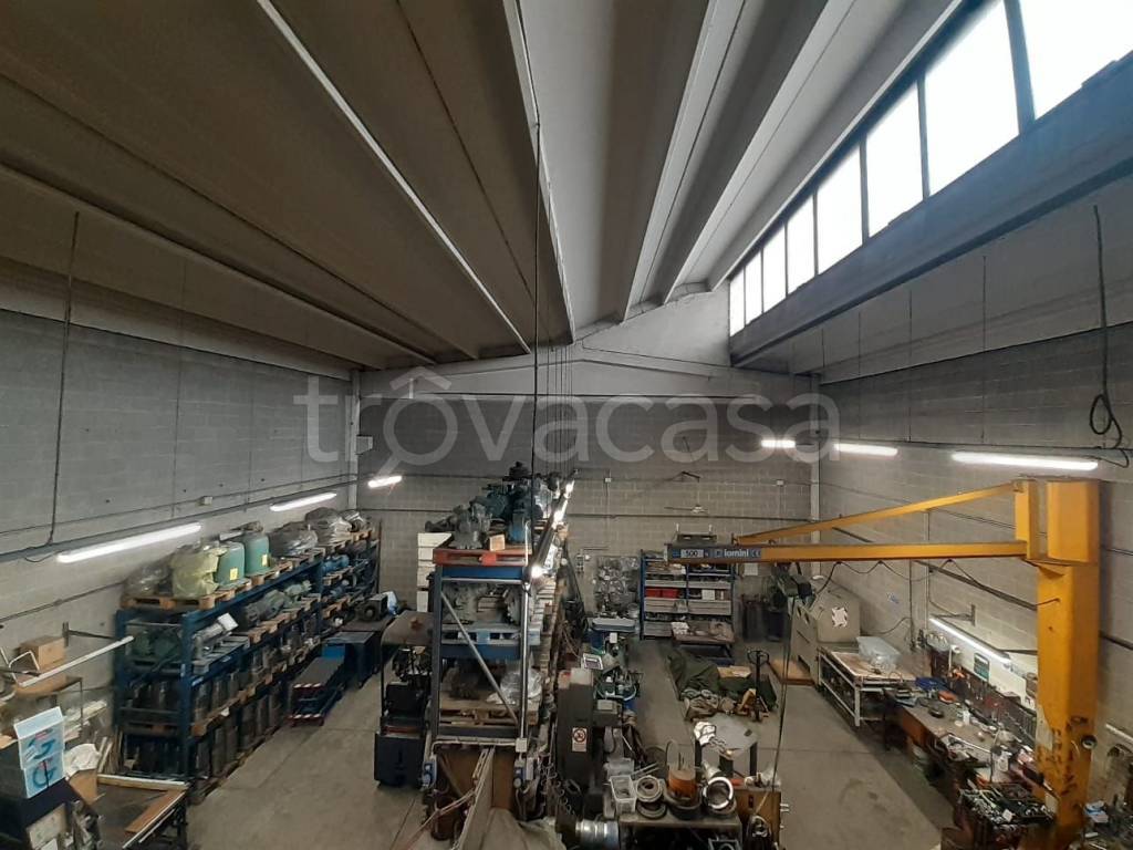 immagine annuncio 9 di 15