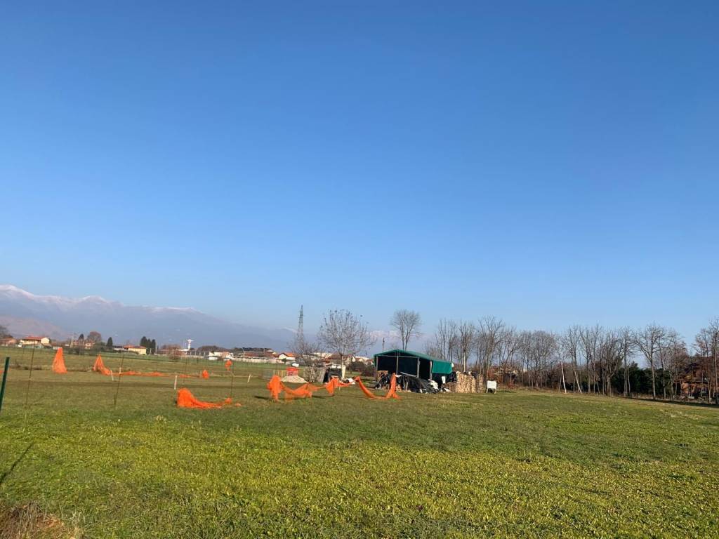 immagine annuncio 4 di 6