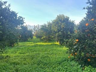 Terreno agricolo in vendita a muravera 