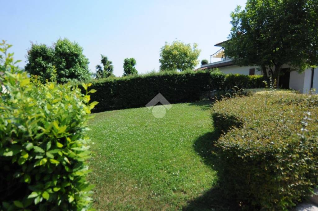 immagine annuncio 5 di 11