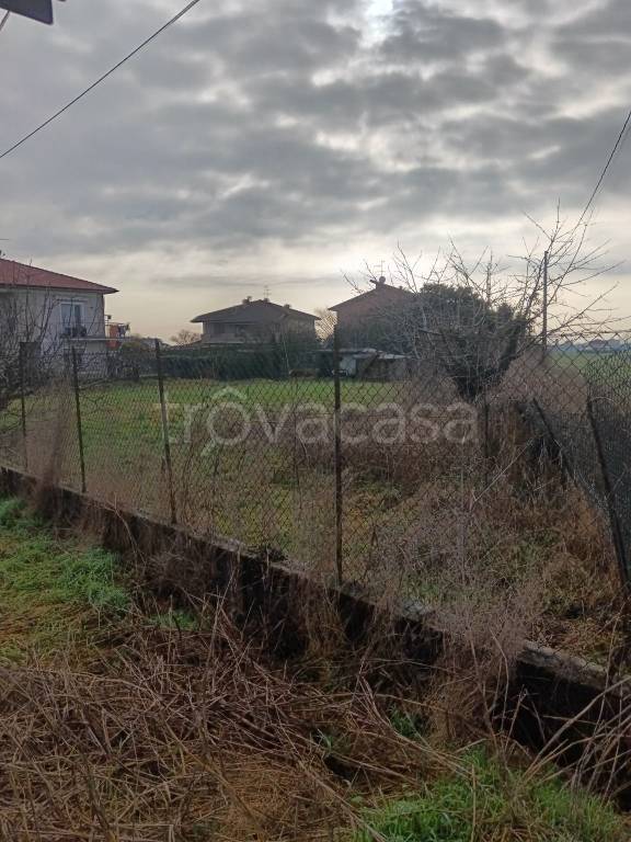 immagine annuncio 3 di 4