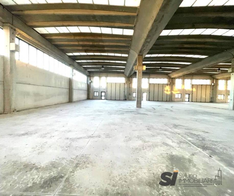 immagine annuncio 1 di 4