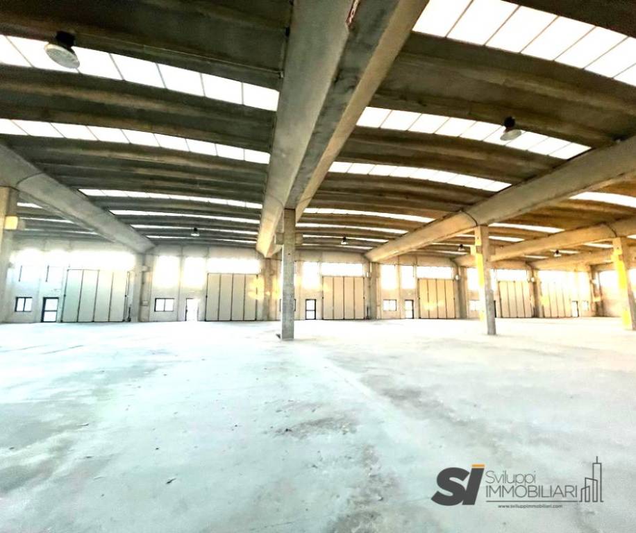 immagine annuncio 2 di 4