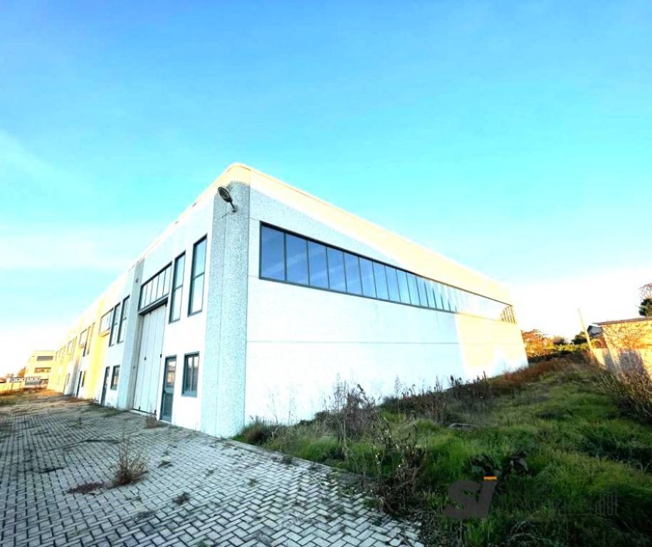 immagine annuncio 3 di 4