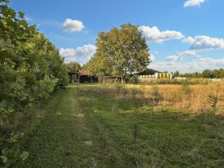 Terreno agricolo all'asta a pozzoleone via san valentino