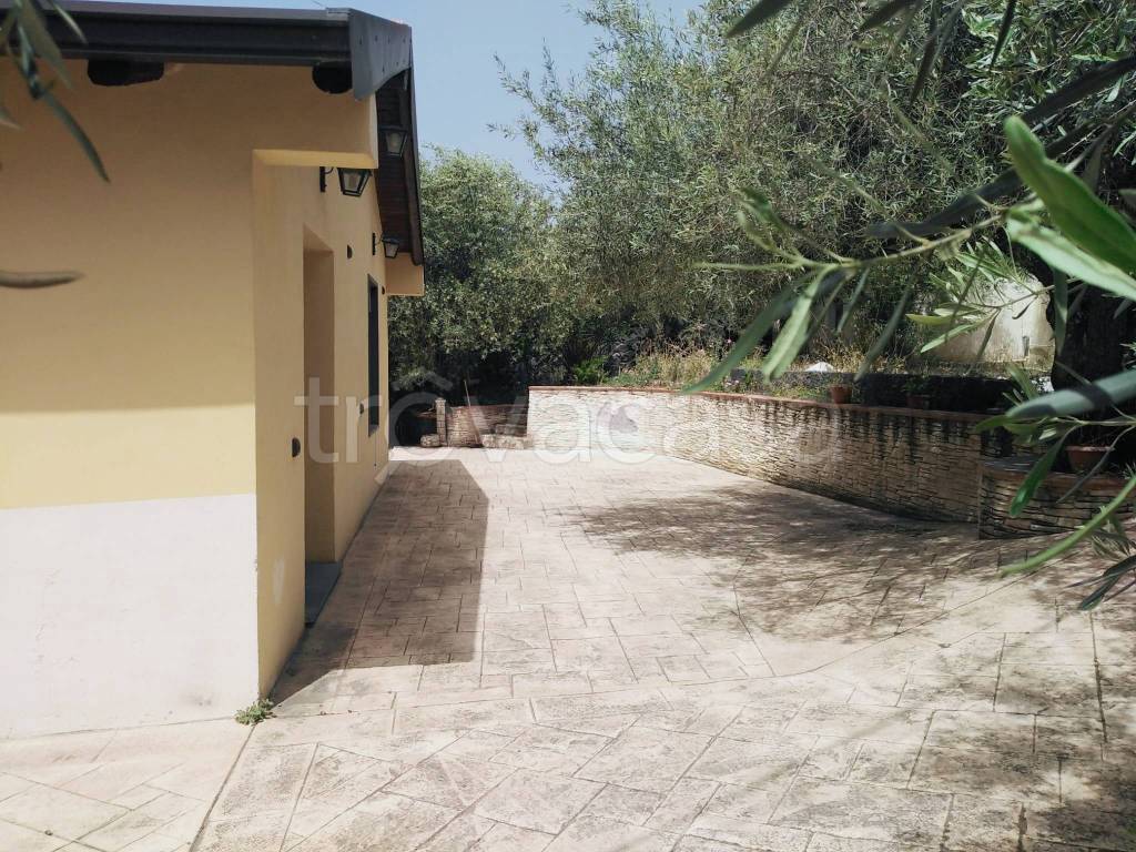 immagine annuncio 2 di 10