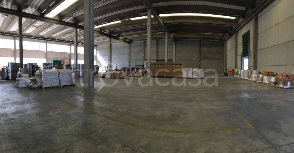 immagine annuncio 6 di 8