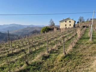 Rustico in in vendita da privato a nizza monferrato corso acqui, 100