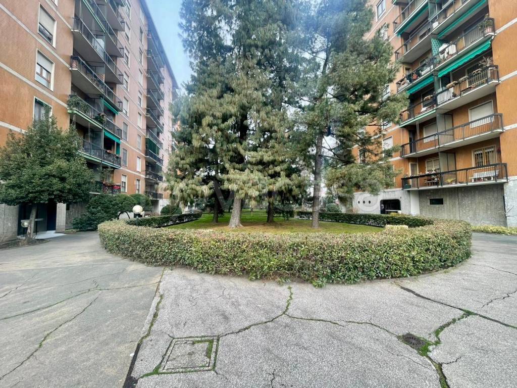 immagine annuncio 2 di 8