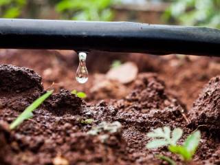 Terreno agricolo in vendita a foligno via bevagna