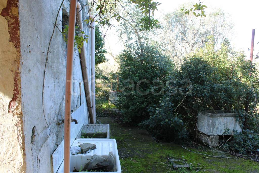 immagine annuncio 3 di 9