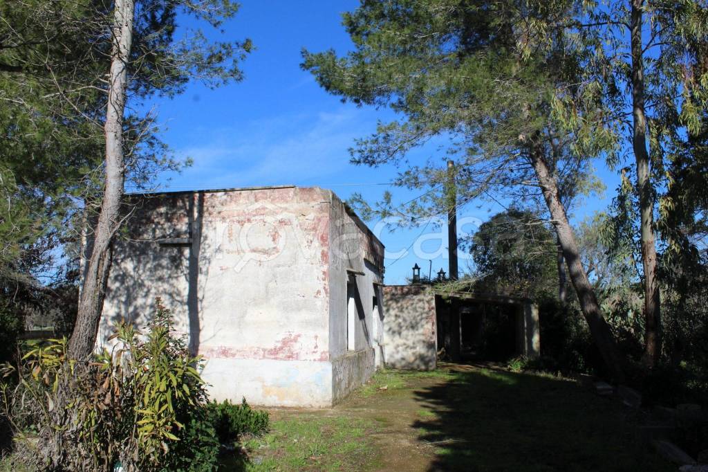 immagine annuncio 6 di 9