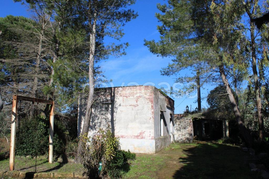 immagine annuncio 7 di 9