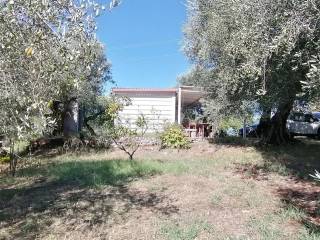 Terreno agricolo in vendita a sant'angelo romano via tagliamento s.n.c.