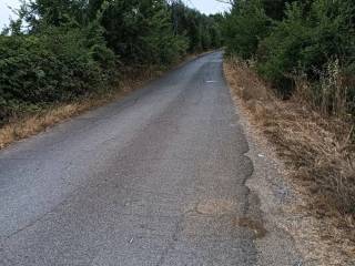 Terreno agricolo in vendita a sant'angelo romano via dei cioccati s.n.c.