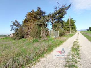 Terreno agricolo in vendita a foggia via manfredonia, 63