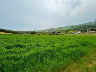 Terreno agricolo in vendita a fermo contrada ete vivo, snc