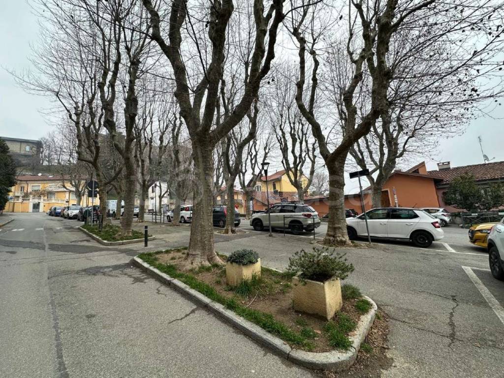 immagine annuncio 12 di 13