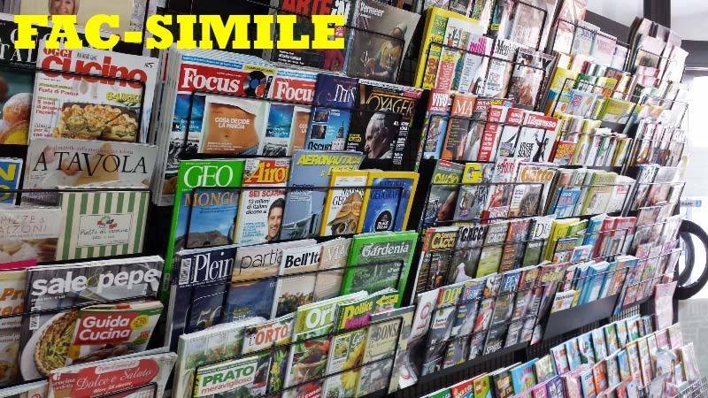 immagine annuncio 6 di 12