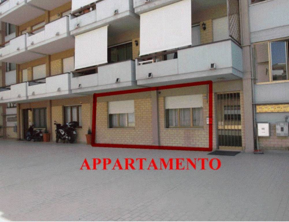 immagine annuncio 11 di 13