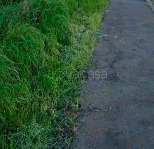 immagine annuncio 3 di 8