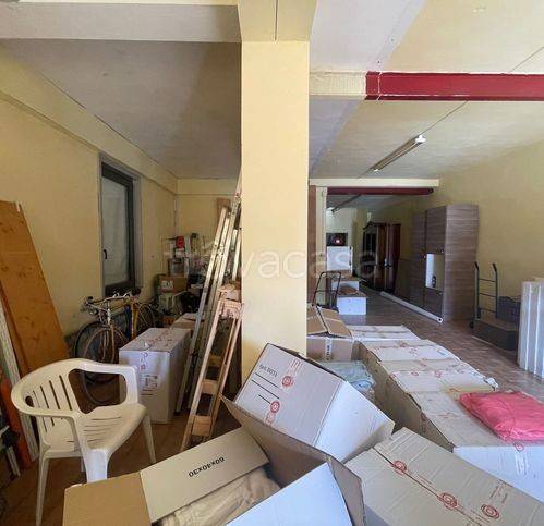 immagine annuncio 3 di 14