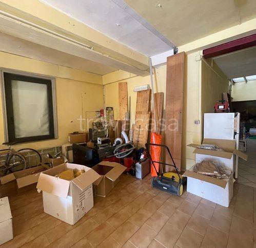 immagine annuncio 4 di 14