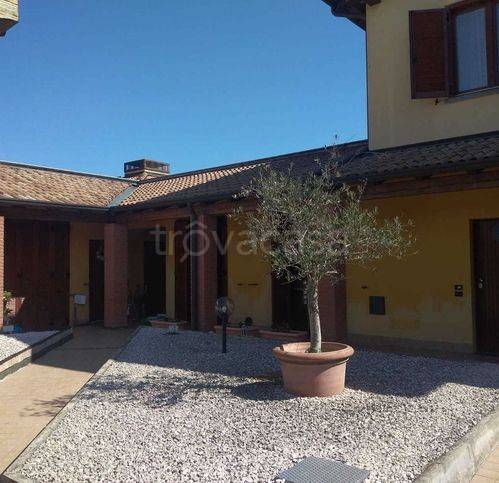 immagine annuncio 4 di 8