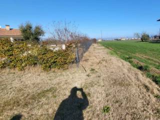 Terreno agricolo all'asta a bellaria-igea marina via san giuseppe