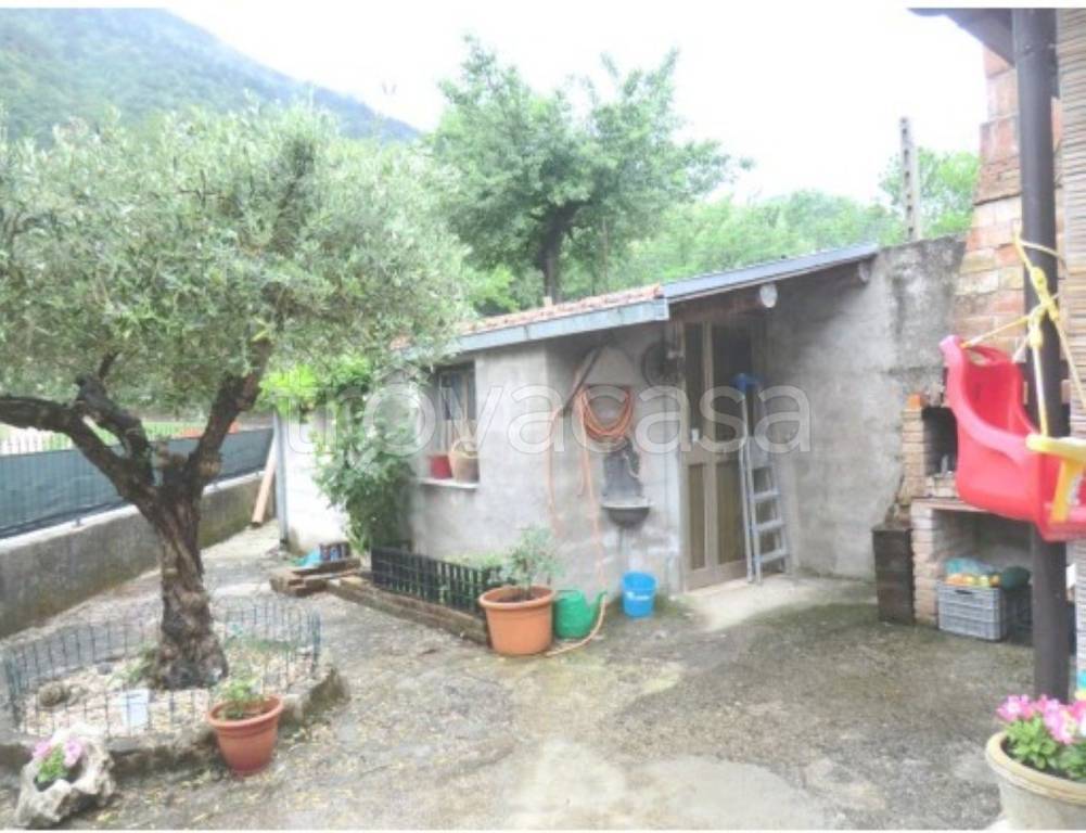 immagine annuncio 7 di 11