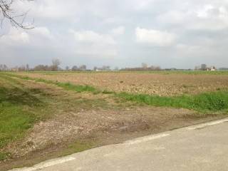 Terreno agricolo all'asta a sissa trecasali via grande