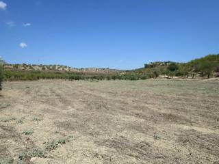 Terreno agricolo in vendita a noto sp51 s.n.c.