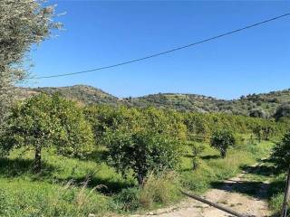 Terreno agricolo in vendita a noto sp15 s.n.c.