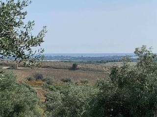 Terreno agricolo in vendita a noto strada provinciale 26 s.n.c.