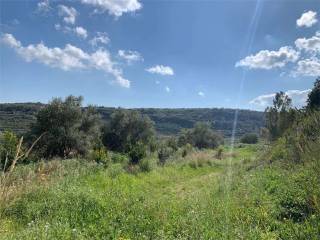 Terreno agricolo in vendita a noto strada provinciale 64 s.n.c.