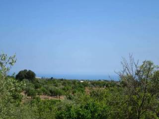 Terreno agricolo in vendita a noto sp15 s.n.c.