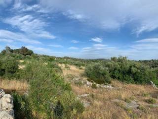 Terreno agricolo in vendita a noto strada statale 287 s.n.c.