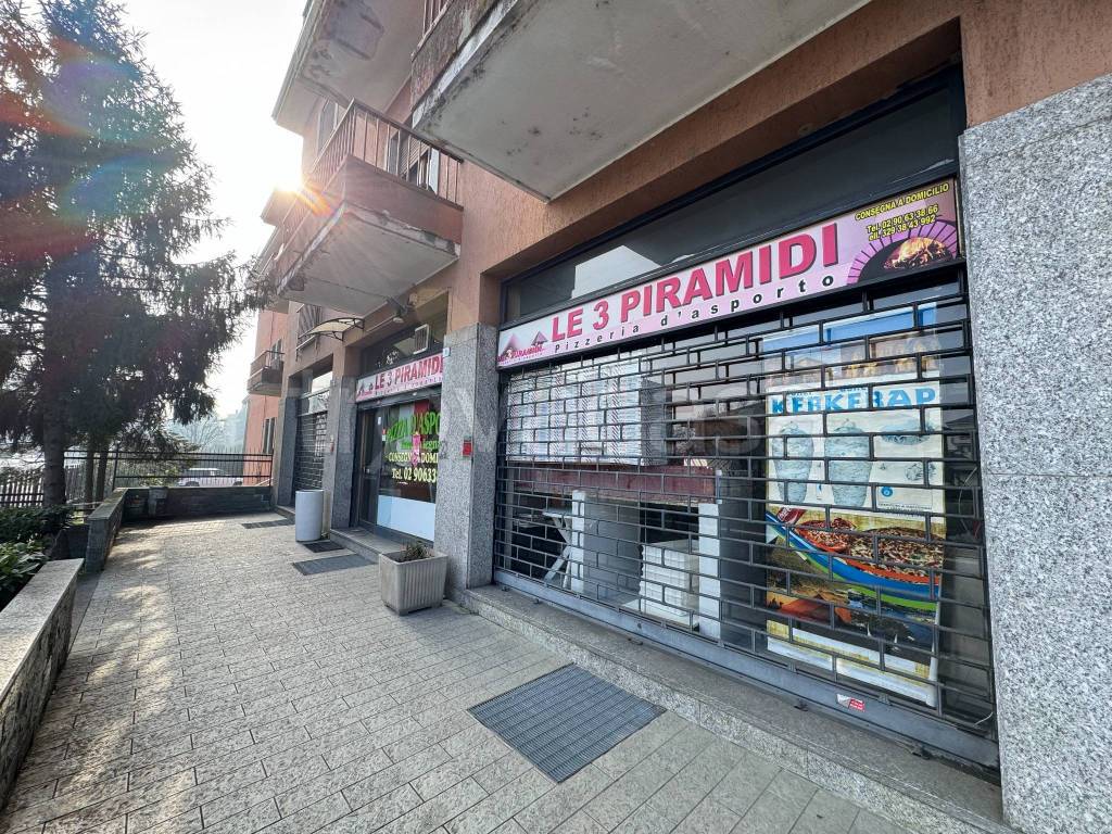 immagine annuncio 3 di 15