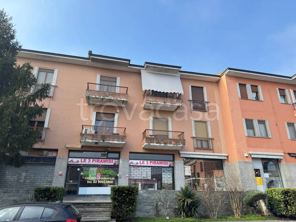 immagine annuncio 4 di 15
