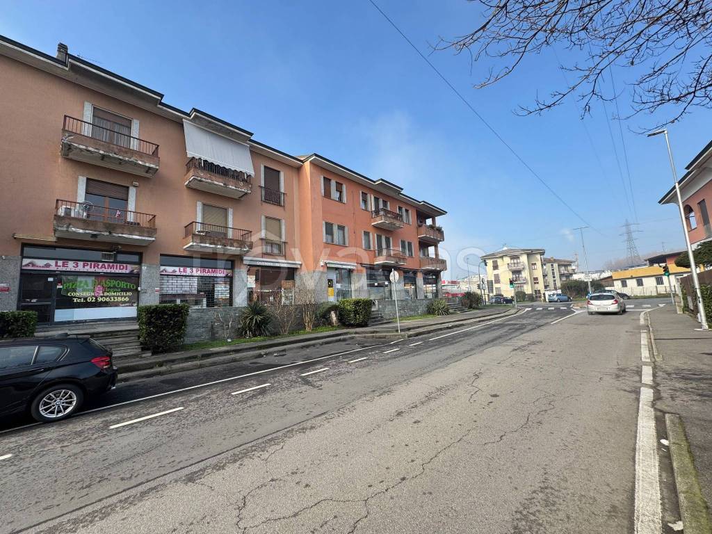 immagine annuncio 5 di 15