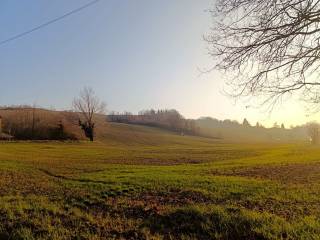 Terreno agricolo in vendita a collecchio via vigne, 18