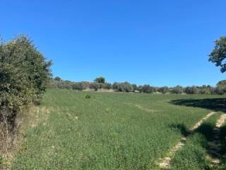 Terreno residenziale in vendita a spoltore strada pozzali