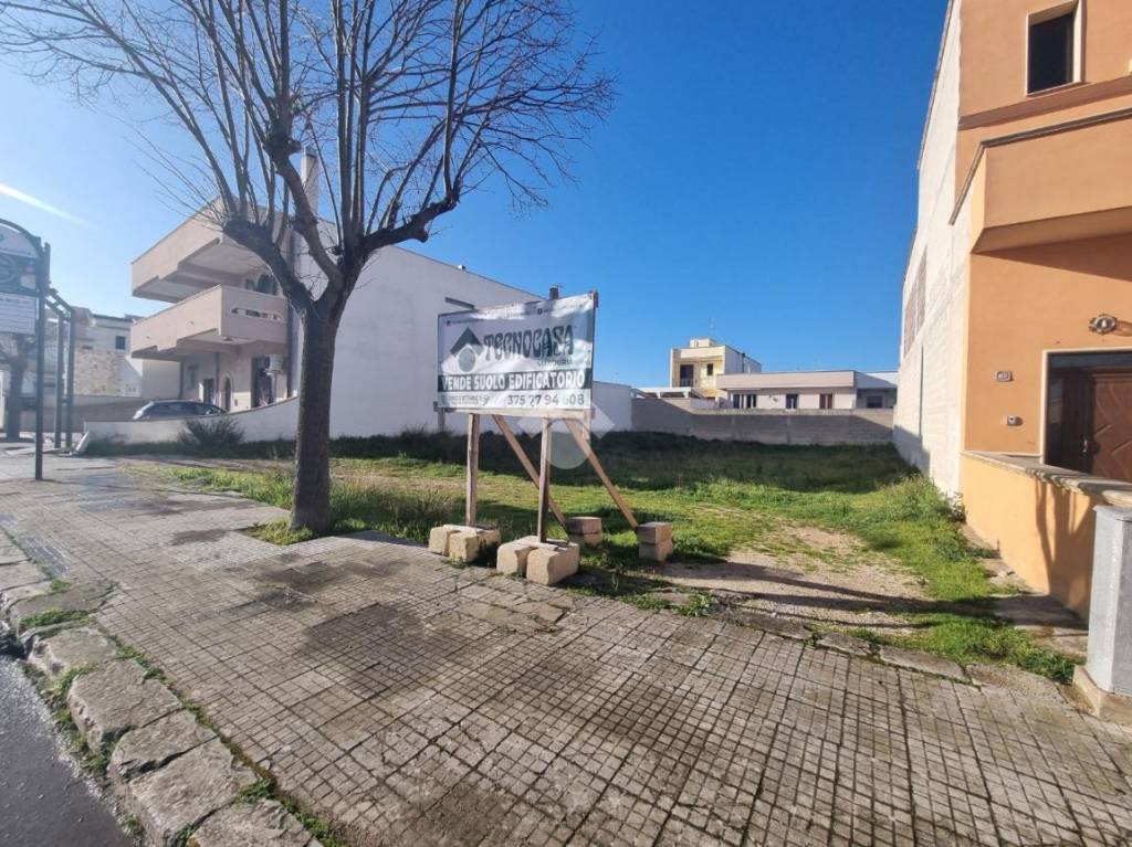 immagine annuncio 5 di 8