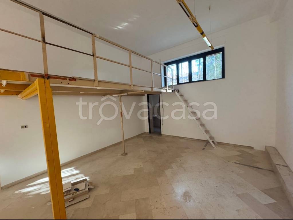 immagine annuncio 2 di 7